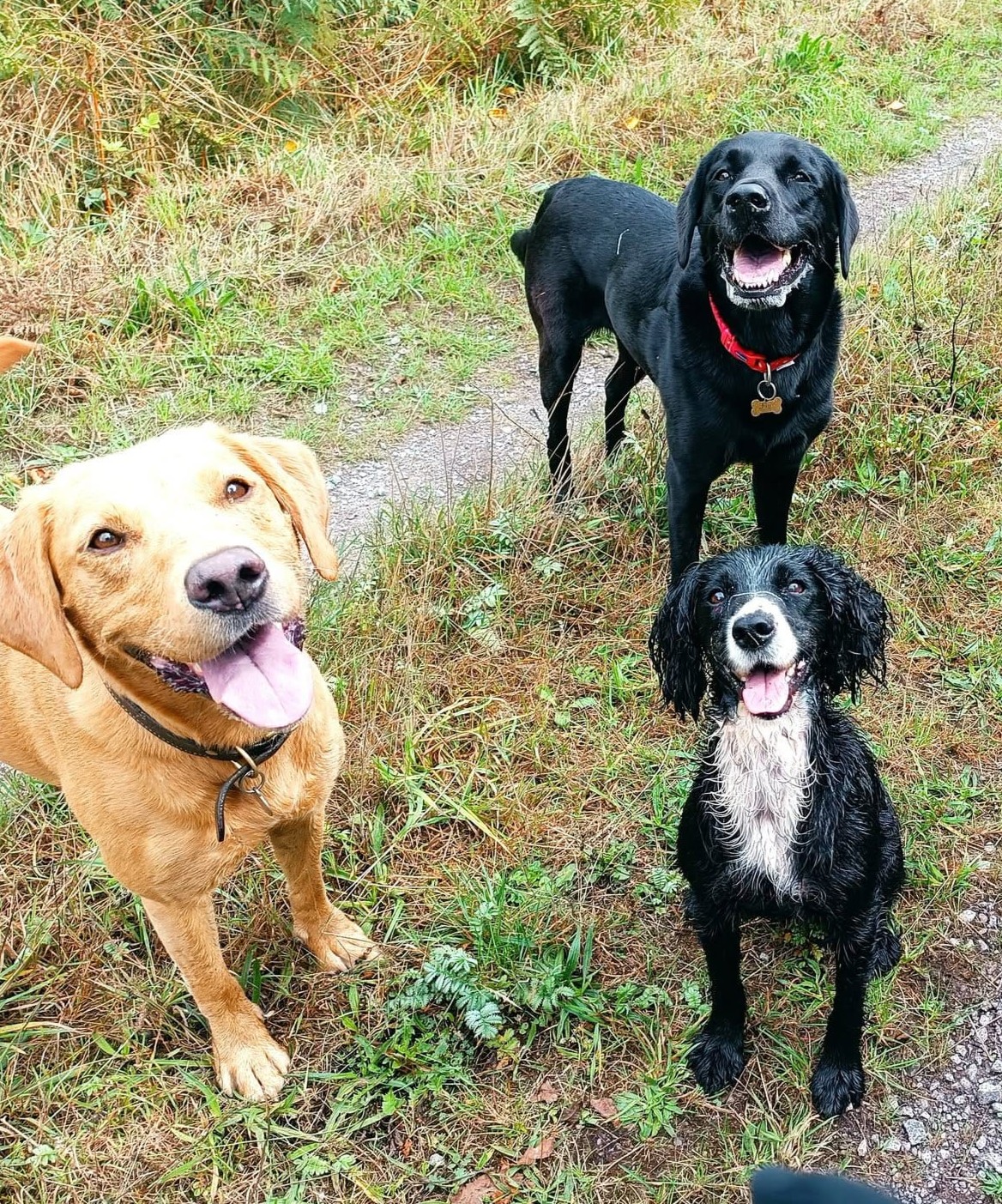 Small Group Walks